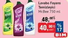 MR. BEE LAVABO FAYANS TEMİZLEYİCİ 750 ML fiyat ve kampanya bilgisi